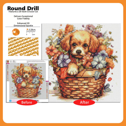 CSZPPQAF Diamond Art Kit,Dog Diamond Painting Kits for Beginners,Full Round Drill,Home Wall 13.8"*13.8"