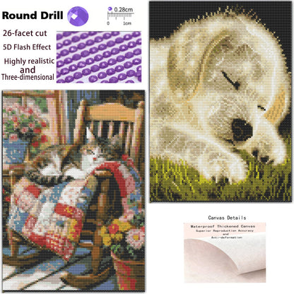 CSZPPQAF 2-Pack Diamond Painting for Adults-Cat and Dog,Full Round Drill Diamond Art Kits, Relaxing Craft & Wall Decor